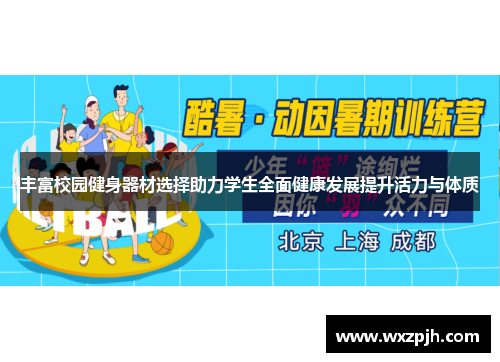 丰富校园健身器材选择助力学生全面健康发展提升活力与体质