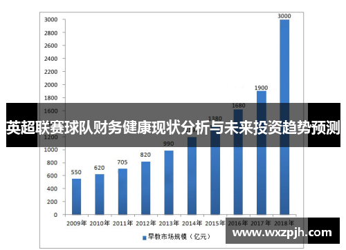 英超联赛球队财务健康现状分析与未来投资趋势预测