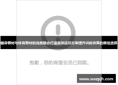 健身器材与体育器材的完美融合打造高效运动方案提升训练效果的最佳选择